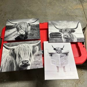 Set of 4 cow pictures